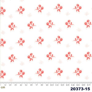 yModa _zCatalina-20373-15(2E-05) zCgn bhn t[c  `F[ Hו |bv Rbg100% V[`O y10cmPʔ̔z