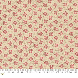 yModa _zChateau De Chantilly-13947-18(3A-02) bhn x[Wn A [t N[o[ t`WFl NVbN AeB[N Rbg100% V[`Oy10cmPʔ̔z