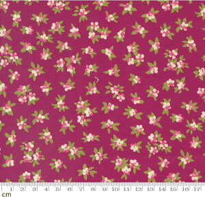 yModa _zChelsea Garden-33749-21(2E-06) sN }[^ ԕ {^jJ Rbg100% V[`Oy10cmPʔ̔z