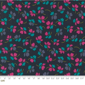 yModa _zColor Crush-10882-14(3A-01) ԕ Ԃт ubN sN Rbg100 V[`O 110cmy10cmPʔ̔z