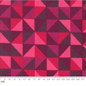 yModa _zColor Crush-10883-25(3A-01) 􉽊w L Op |bv sN Rbg100 V[`O 110cmy10cmPʔ̔z