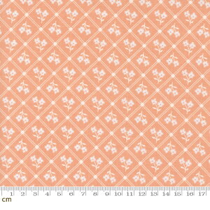 yModa _zCottage Charm-31752-19(3A-02) T[sN ԕ iq `FbN ^C tF~j 킢 Rbg100 V[`O 110cmy10cmPʔ̔z