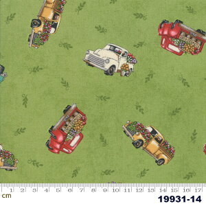 yModa _zCultivate Kindness-19931-14(2D-01) O[n  ԕ Rbg100 V[`Oy10cmPʔ̔z