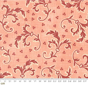 yModa _zDinahs Delight-31672-15(2E-07) sNn uEn A [t AeB[N i` Rbg100 V[`Oy10cmPʔ̔z