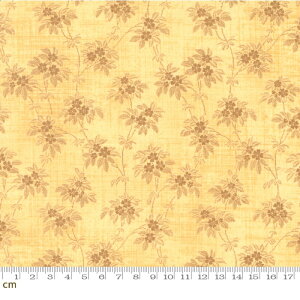 yModa _zDinahs Delight-31675-12(2E-07) x[Wn CG[n A ԕ AeB[N i` Rbg100 V[`Oy10cmPʔ̔z