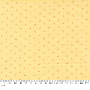 yModa _zDinahs Delight-31678-15(2E-07) CG[n A hbg AeB[N i` Rbg100 V[`Oy10cmPʔ̔z