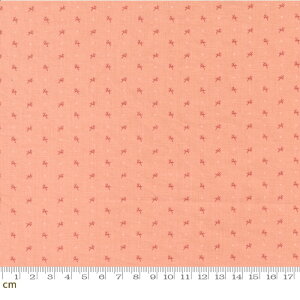 yModa _zDinahs Delight-31678-18(2E-07) sNn A hbg AeB[N i` Rbg100 V[`Oy10cmPʔ̔z