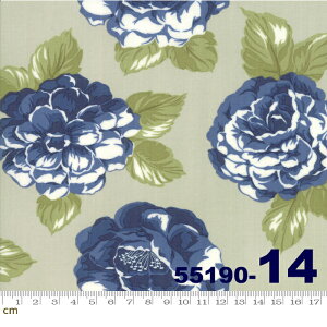 【Moda モダ】Early Bird-55190-14(2C-03) グリーン系 萌黄色 青色 花柄 薔薇 コットン100% シーチング【10cm単位販売】