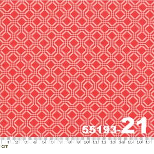 yModa _zEarly Bird-55193-21(2C-03) bhn  􉽊w `FbN Rbg100 V[`Oy10cmPʔ̔z