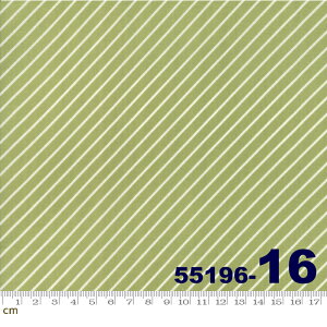 yModa _zEarly Bird-55196-16(2C-03) O[n GF F XgCv Rbg100 V[`Oy10cmPʔ̔z