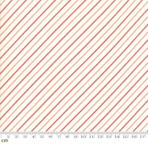 yModa _zEarly Bird-55196-27(2C-03) ԐF bh zCg F sN XgCv Rbg100 V[`Oy10cmPʔ̔z