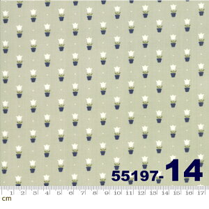 yModa _zEarly Bird-55197-14(2C-03) O[n GF x[W F `[bv ԕ Rbg100 V[`Oy10cmPʔ̔z