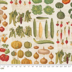 yModa _zFarm And Garden-7472-11(3A-02) AC{[ ؕ p A^b` 啿 傫ߕ Rbg100 V[`O 110cmy10cmPʔ̔z