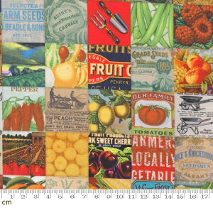 【Moda モダ】Farm And Garden-7474-11(3A-02) カラフル 野菜柄 英字柄 モチーフ柄 リアルタッチ パッチワーク風 コットン100% シーチング 110cm幅【10cm単位販売】