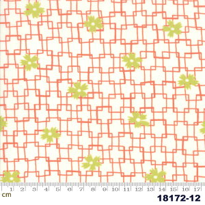 yModa _zFine and Sunny-18172-12(2E-02) O[n CG[n IWn zCgn 􉽊w͗l ԕ A Rbg100% V[`O y10cmPʔ̔z