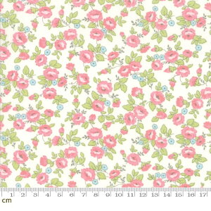 �yModa ���_�zFinnegan-18681-11(2C-02) �z���C�g�n �s���N�n ���ԕ� �ԕ� �R�b�g��100�� �V�[�`���O 110cm���y10cm�P�ʔ̔��z