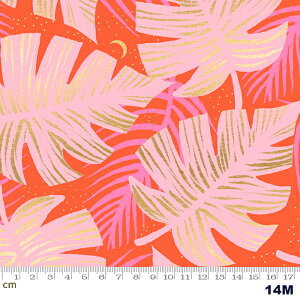 yModa _zFlorida-RS2024-14M(^bNH)(2E-04) IWn sNn ^bN A [t H Rbg100 V[`O 110cmy10cmPʔ̔z