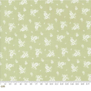 yModa _zFlower Girl-31734-18(2E-06) CgO[ ԕ K[[ tF~j Rbg100% V[`O y10cmPʔ̔z