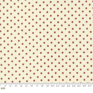 yModa _zGarden Gatherings Shirtings-49176-11(2E-07) ԕ zCgn bhn V[`Oy10cmPʔ̔z