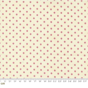 yModa _zGarden Gatherings Shirtings-49176-14(2E-07) ԕ zCgn sNn V[`Oy10cmPʔ̔z