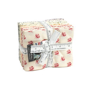 yModa _zGarden Gatherings Shirtings-49171AB(20) ItzCg Jt ԕ hbg x[VbN Rbg100% V[`OvJbg JbgNX JbgnZbg