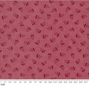 yModa _zGarden Gatherings-49172-21(2E-07) ԕ sNn bhn V[`Oy10cmPʔ̔z