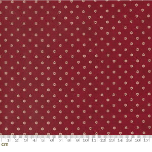 yModa _zGarden Gatherings-49176-19(2E-07) ԕ ԕ bhn  zCgn V[`Oy10cmPʔ̔z