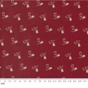 yModa _zGarden Gatherings-49177-19(2E-07) ԕ bhn  `[bv V[`Oy10cmPʔ̔z