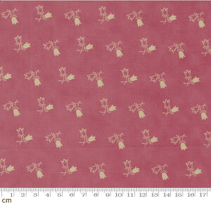 yModa _zGarden Gatherings-49177-20(2E-07) ԕ sNn zCgn `[bv V[`Oy10cmPʔ̔z