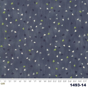 yModa _zGeometry-1493-14(2E-02) u[n O[n 􉽊w Rbg100% V[`O y10cmPʔ̔z