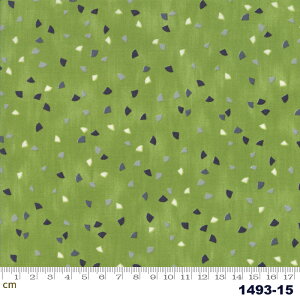 yModa _zGeometry-1493-15(2E-02) O[n lCr[n 􉽊w Rbg100% V[`O y10cmPʔ̔z