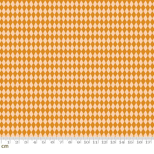 yRuby StarzGeometry-RS5176-12(3A-05) moda IW 􉽊w n[L `FbN Ύs͗l _C r[X^[ V[`O 110cmy10cmPʔ̔z