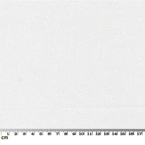 yModa _zGilded-11532-13(3A-01) zCgn [t tϕ nn Rbg100% V[`O y10cmPʔ̔z