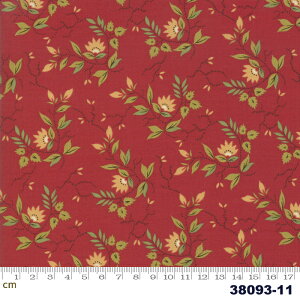 yModa _zGlad Tidings-38093-11(2E-02) bhn ԐF ԕ A [t Rbg100 V[`O 110cmy10cmPʔ̔z