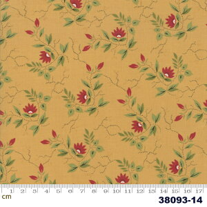 yModa _zGlad Tidings-38093-14(2E-02) uEn x[Wn CG[n ԕ A Rbg100 V[`O 110cmy10cmPʔ̔z