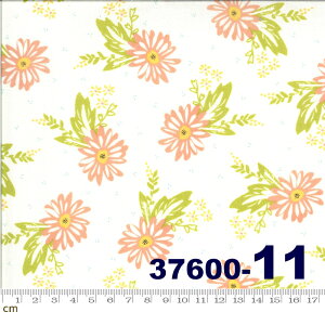 yModa _zHappy Days-37600-11(2E-05) zCgn O[n sNn ԕ A Rbg100 V[`O 110cmy10cmPʔ̔z