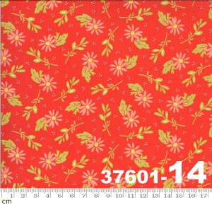 yModa _zHappy Days-37601-14(2E-05) O[n sNn IWn bhn ԕ Rbg100 V[`O 110cmy10cmPʔ̔z