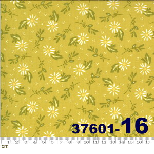 yModa _zHappy Days-37601-16(2E-05) O[n zCgn CG[n uEn ԕ Rbg100 V[`O 110cmy10cmPʔ̔z