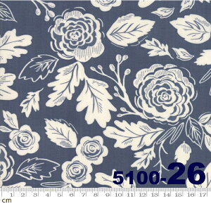 yModa _zHarvest Road-5100-26(2D-05) lCr[ ԕ o A Rbg100% V[`Oy10cmPʔ̔z