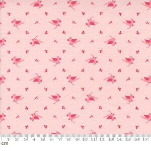 yModa _zHollyhocks And Roses-3053-18(3B-09) sN  AeB[N  Rbg100% V[`O 110cmy10cmPʔ̔z