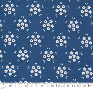 yModa _zHollyhocks And Roses-3055-15(3B-09) u[ ԕ AeB[N 킢 Rbg100% V[`O 110cmy10cmPʔ̔z