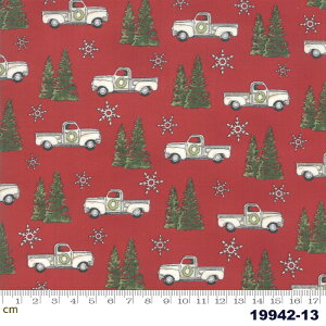 yModa _zHomegrown Holidays-19942-13(2E-03) zCgn bhn A ԕ ACe Rbg100 V[`O 110cmy10cmPʔ̔z