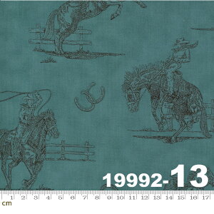 yModa _zHome On The Range-19992-13(2E-05) O[n u[n  n JE{[C Rbg100% V[`Oy10cmPʔ̔z
