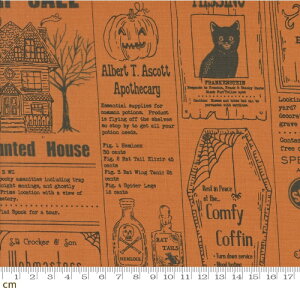 yModa-k _zHome Sweet Haunt-20910-14(3A-02) j[Xy[p[ nEB ڂᕿ L p IW V[`O 110cmy10cmPʔ̔z