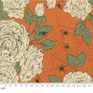 yModa-k _zHome Sweet Haunt-20911-14(3A-02) w偂̑ nEB ԕ o IW AC{[ O[ V[`O 110cmy10cmPʔ̔z