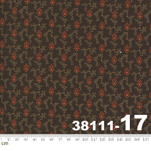 yModa _zHopewell-38111-17(2E-05) uEn bhn Rbg100% V[`Oy10cmPʔ̔z