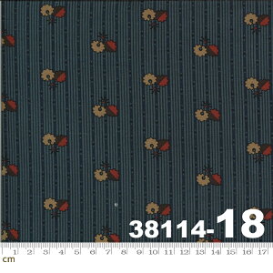 yModa _zHopewell-38114-18(2E-05) uEn bhn u[n x[Wn Rbg100% V[`Oy10cmPʔ̔z