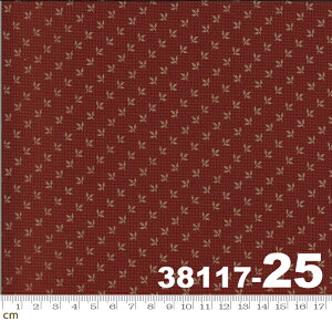 yModa _zHopewell-38117-25(2E-05) uEn bhn x[Wn [t Rbg100% V[`Oy10cmPʔ̔z