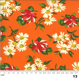 yModa _zIts Elementary-21783-13(2E-05) moda IWn zCgn bhn ԕ g |bv V[`O 110cmy10cmPʔ̔z