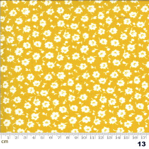 yModa _zIts Elementary-21787-13(2E-05) moda CG[n zCgn ԕ g |bv V[`O 110cmy10cmPʔ̔z